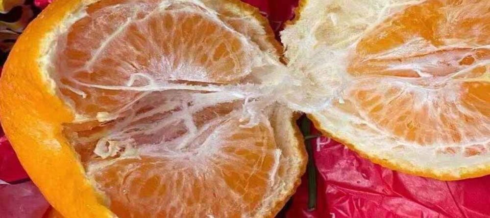 深度解析特色农产品质量安全防伪追溯管理系统